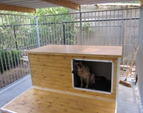 Geïsoleerd hondenhok Zara 4 + ligplank - vlak dak (standaard)
